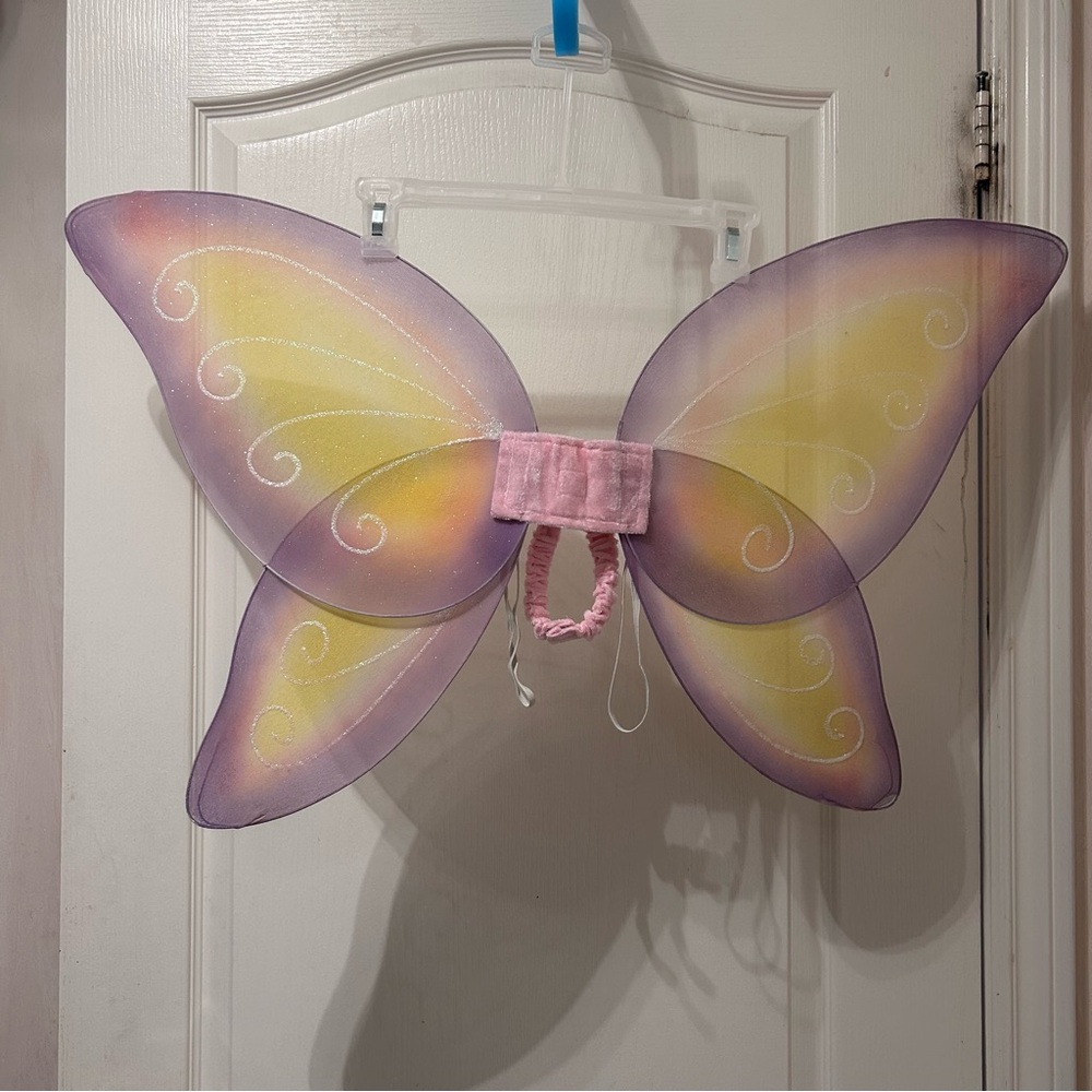 Butterfly wing